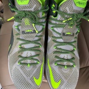 Nike LeBron Dunkman 2014 size 13